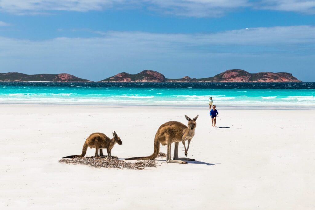 Top 10 Fun Facts About Australia: The Wonders of the Land Down Under