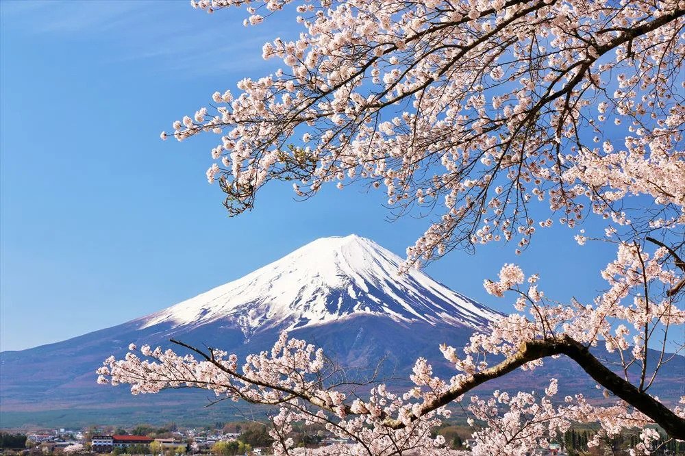 Top 50 Unknown and Interesting Facts About Japan: A Land of Tradition and Innovation