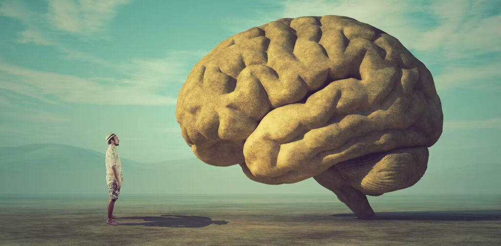 Top 10 Unknown and Amazing Facts About the Brain: Unlocking the Mysteries