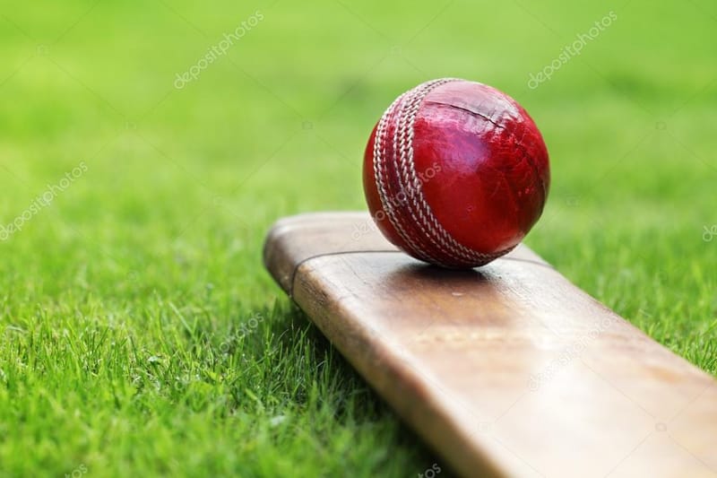 Top 50 Amazing and Unknown Facts about Cricket